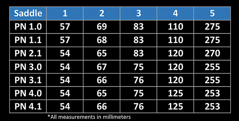 PN Dimensions - 2021